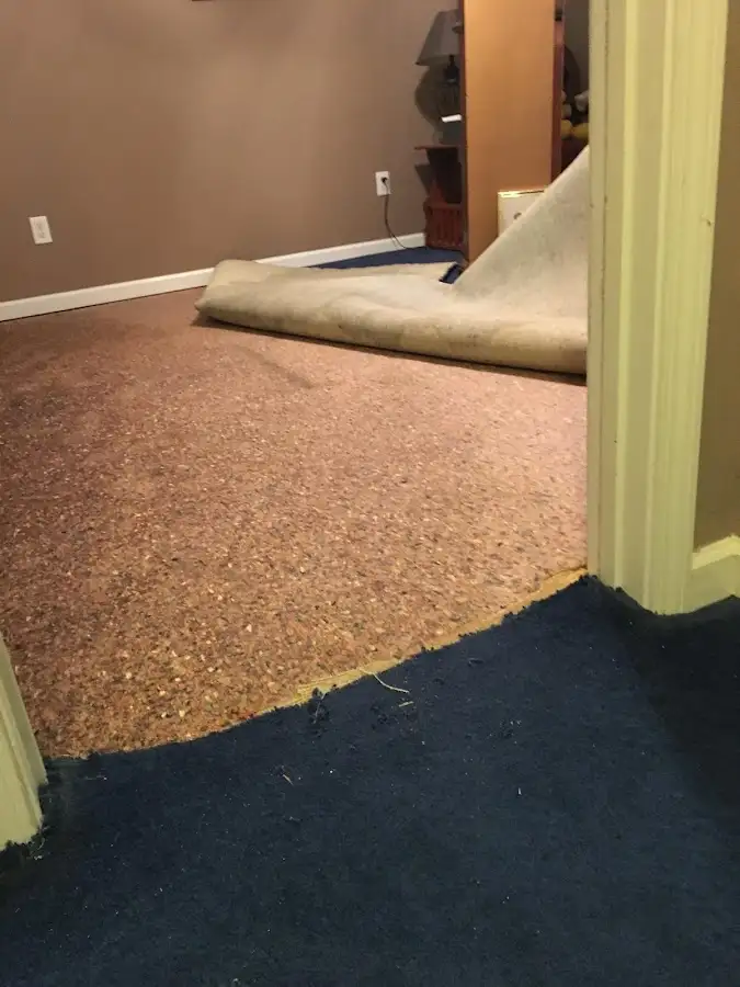 Carpet pad removal revealing water damage during Water Mitigation Services in Bellefontaine Neighbors