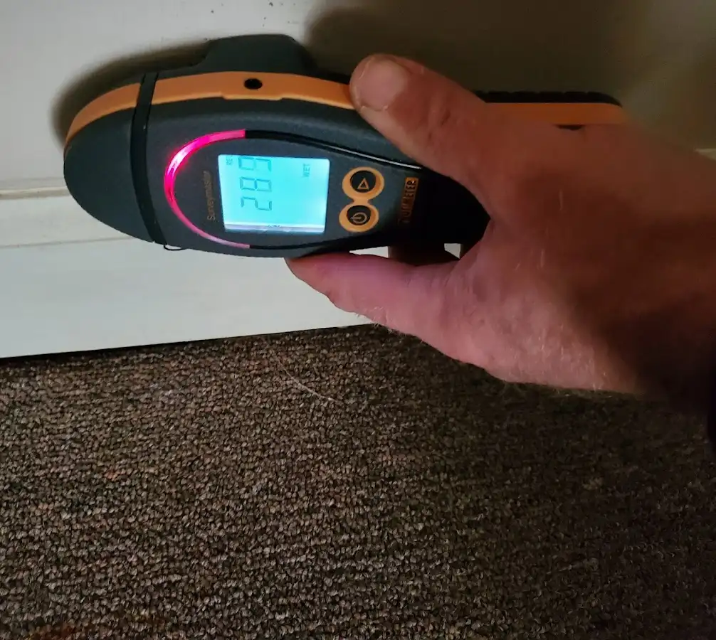 Moisture detection at baseboard during Burst Pipe Cleanup in Bellefontaine Neighbors